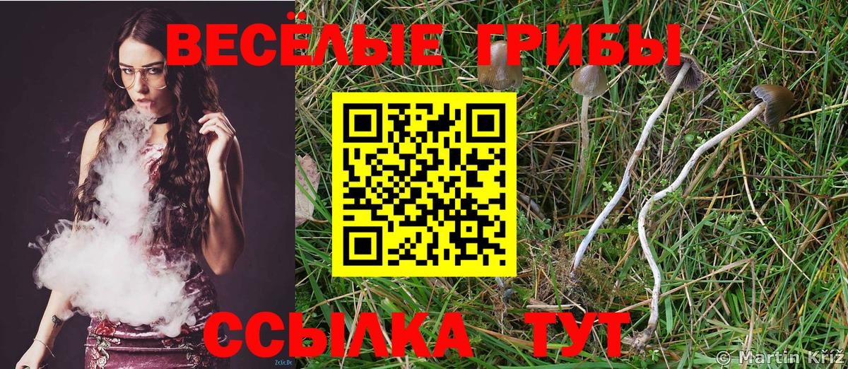Галлюциногенные грибы мухоморы  Вход с VPN  Владикавказ 